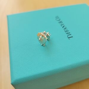 Tiffany Silver Lion pendant